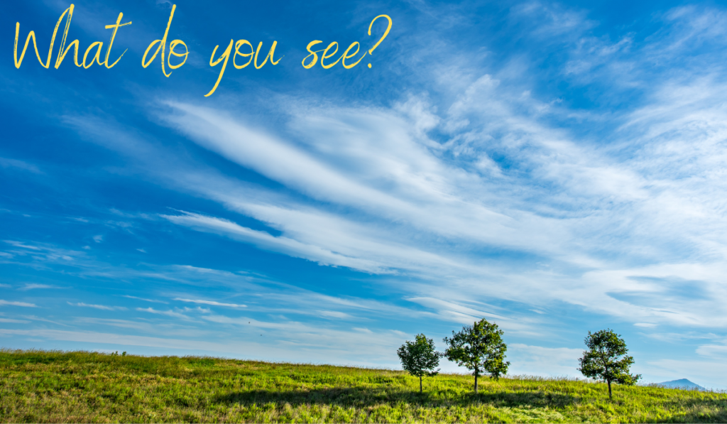 Preschool spring activity: what shapes do you see?